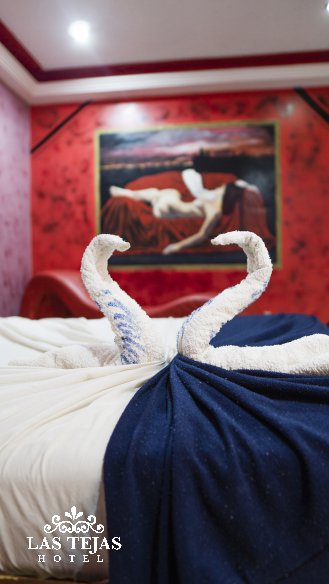 Hotel Las Tejas :Habitacion POLTRONA