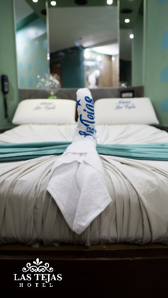 Hotel Las Tejas :Habitacion CASCADA
