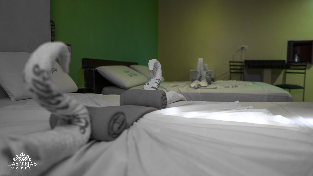 Hotel Las Tejas :Habitacion DUPLEX