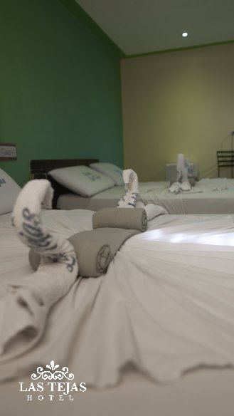 Hotel Las Tejas :Habitacion DUPLEX