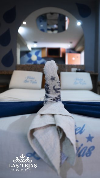 Hotel Las Tejas :Habitacion SENCILLA CON ESTACIO